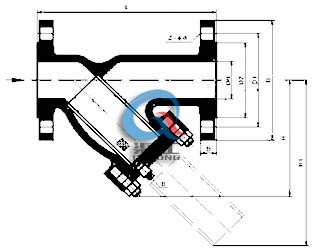 法蘭式Y(jié)型過(guò)濾器 (結(jié)構(gòu)尺寸圖)